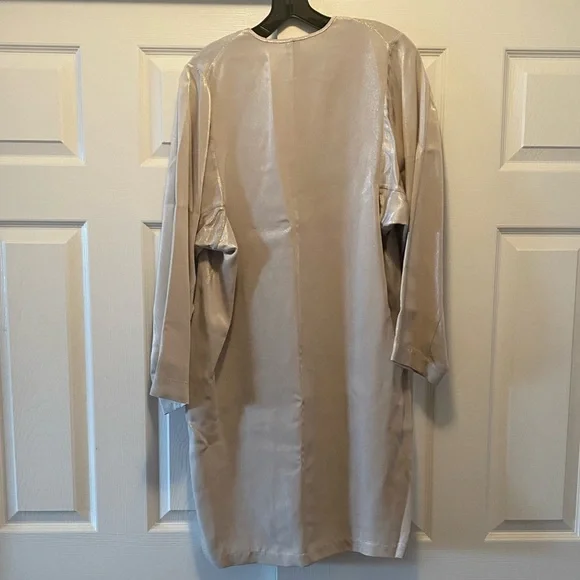 Silver dress - Picture 5 of 7